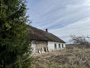 Järva maakond, Järva vald, Ülejõe küla, Neoandrese (7 foto / 10)