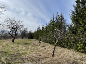 Järva maakond, Järva vald, Ülejõe küla, Neoandrese (8 foto / 10)