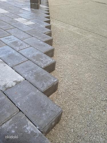 Работы по укладке тротуарной плитки (фото #1)