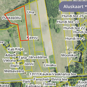 Puhkepõllu, Kuru, Alutaguse vald, Ida-Virumaa (3 foto / 6)