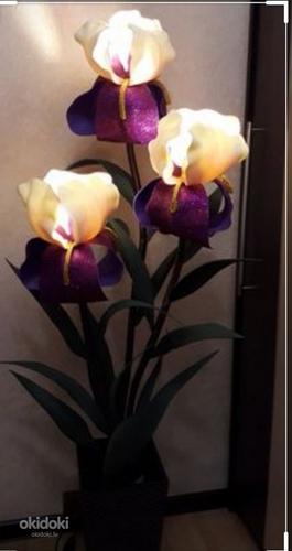 IZOLON augšanas ziedu ražošanai - Lampas (foto #2)