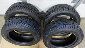 Шины, зимние шины, шипованные шины Hankook RW11 255/55 R18 (1 фото из 5)