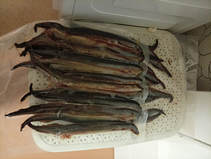 Suitsutatud ja marineeritud silm (1 foto / 9)