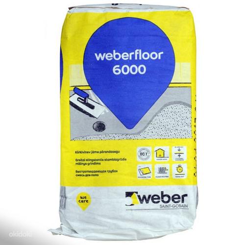 Weber 6000 (foto #1)