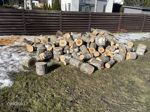 Märg kask