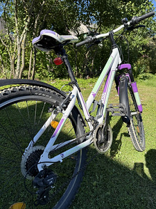 24" jalgratas (6 foto / 6)