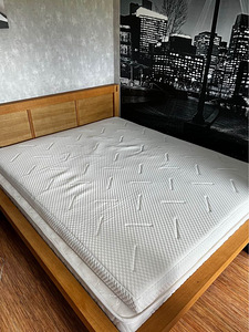 DREAM LUX T110 WELLPUR kattemadrats (1 foto / 2)