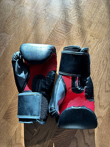 Boxing Gloves - Everlast 12 Ounces (1 foto / 4)