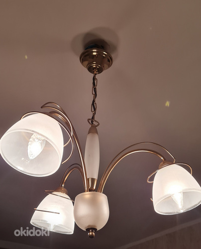 Laelamp