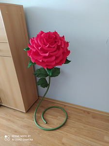 Kasvu lilled (4 foto / 10)