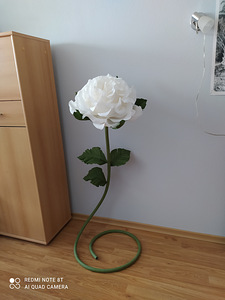 Kasvu lilled (8 foto / 10)