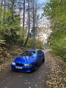 M:V BMW 530d (1 фото из 15)
