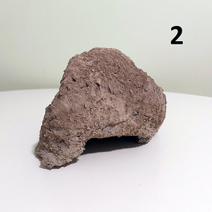 Lemmiklooma majad / Varjupaigad loomadele / Varjupaigad lemmikloomadele (6 foto / 6)