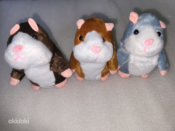 Rääkiv hamster (foto #7)