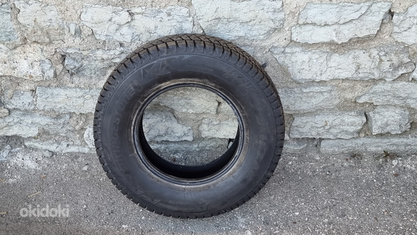 Bridgestone Blizzak DM-V2