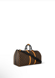 Louis Vuitton carry bag (1 foto / 5)