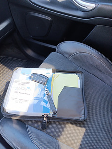 Ford S max 2009 (5 foto / 9)