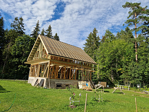 Katuserobotid, sillutusplaadid, aiad. (2 foto / 9)