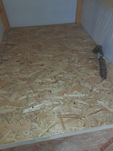 Soojustatud aedik suurtele koertele / Dog Enclosure (5 foto / 7)