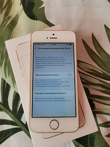 Apple iPhone SE 64 GB 2016 (9 foto / 10)