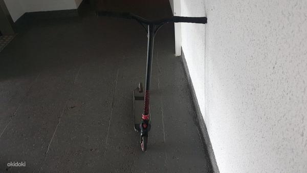 Трехколесный велосипед Blunt Prodigy S5 (фото #3)