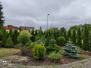 Ландшафтный дизайн / Услуги садовника (7 фото из 9)