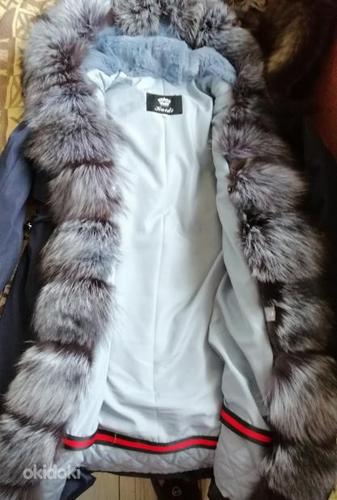 Talveparka