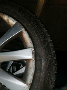 Müüa talverehvid Mazda 6-le (2 foto / 3)