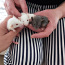 Продаются крысята Дамбо (фото #2)