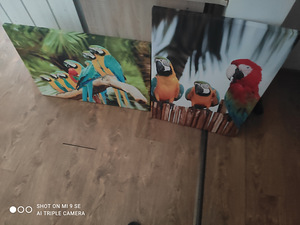 Kunst (1 foto / 3)