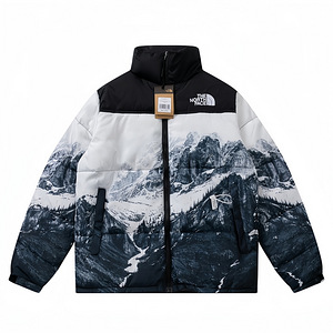 Куртка North Face (1 фото из 4)
