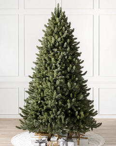 Vermonti valge kuusk (premium puu) 195 cm (2 foto / 4)