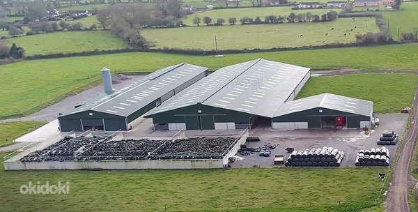 Работать на молочной ферме в Ирландии! (фото #1)