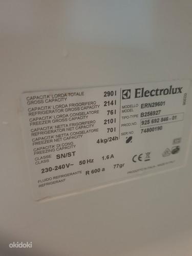 Встраиваемый холодильник electrolux ern 29601 (фото #3)