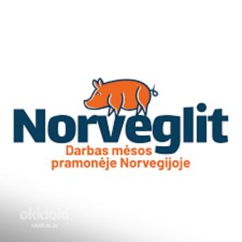 Работа в норвегии (фото #1)