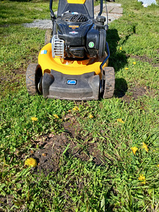 Cub Cadet muruniiduk kogumiskastiga (3 foto / 3)
