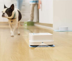 IRobot Braava jet 250 (5 foto / 5)
