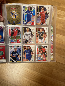 Jalgpallikaartide kollektsioon (8 foto / 10)