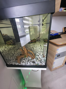 Akvaarium juwel primolux 60 (2 foto / 4)