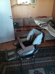 Jalutuskäru (2 foto / 3)