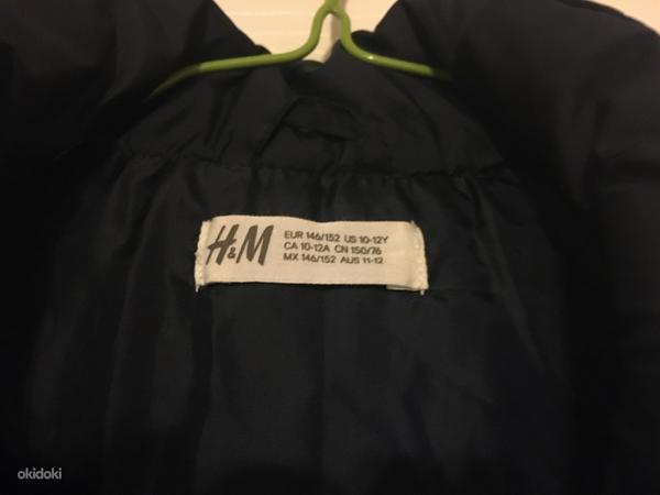 Теплый жилет H&M, размер 146/152, 10/12 лет (фото #4)