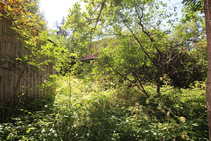 Polli tee 1, Halliste, Mulgi vald, Viljandimaa (4 foto / 10)