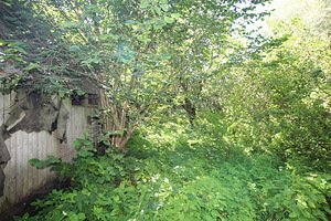 Polli tee 1, Halliste, Mulgi vald, Viljandimaa (8 foto / 10)