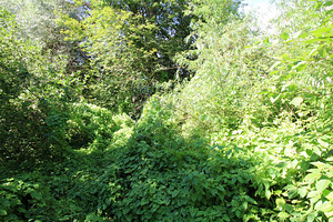 Polli tee 1, Halliste, Mulgi vald, Viljandimaa (9 foto / 10)