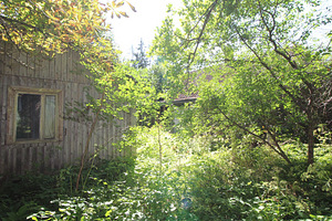 Polli tee 1, Halliste, Mulgi vald, Viljandimaa (5 foto / 10)