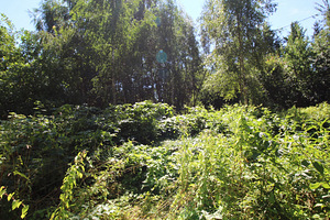Polli tee 1, Halliste, Mulgi vald, Viljandimaa (10 foto / 10)