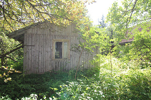 Polli tee 1, Halliste, Mulgi vald, Viljandimaa (4 foto / 10)