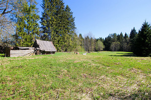 Vahtra, Vetla, Anija vald, Harjumaa (5 foto / 10)