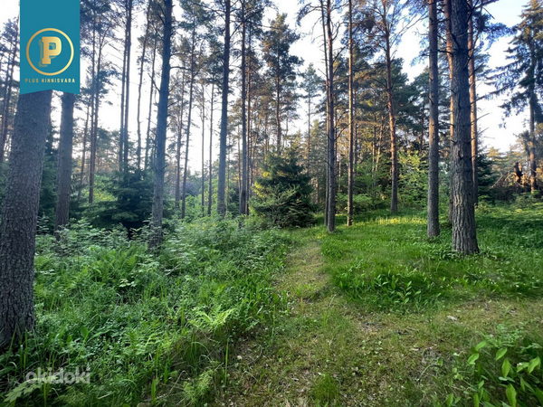 Harju maakond, Tallinn, Pirita linnaosa, Lepiku tee 28b (foto #3)