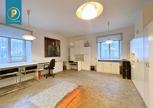 Ravi tn 4, Kesklinna, Tallinn, Harjumaa (3 foto / 10)
